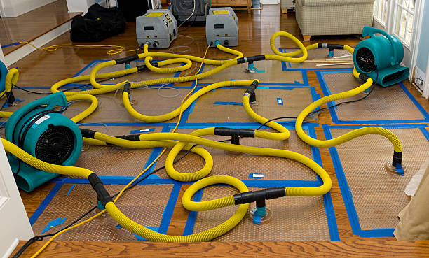 Professional Basement Flood Cleanup technician working in Duncan, SC